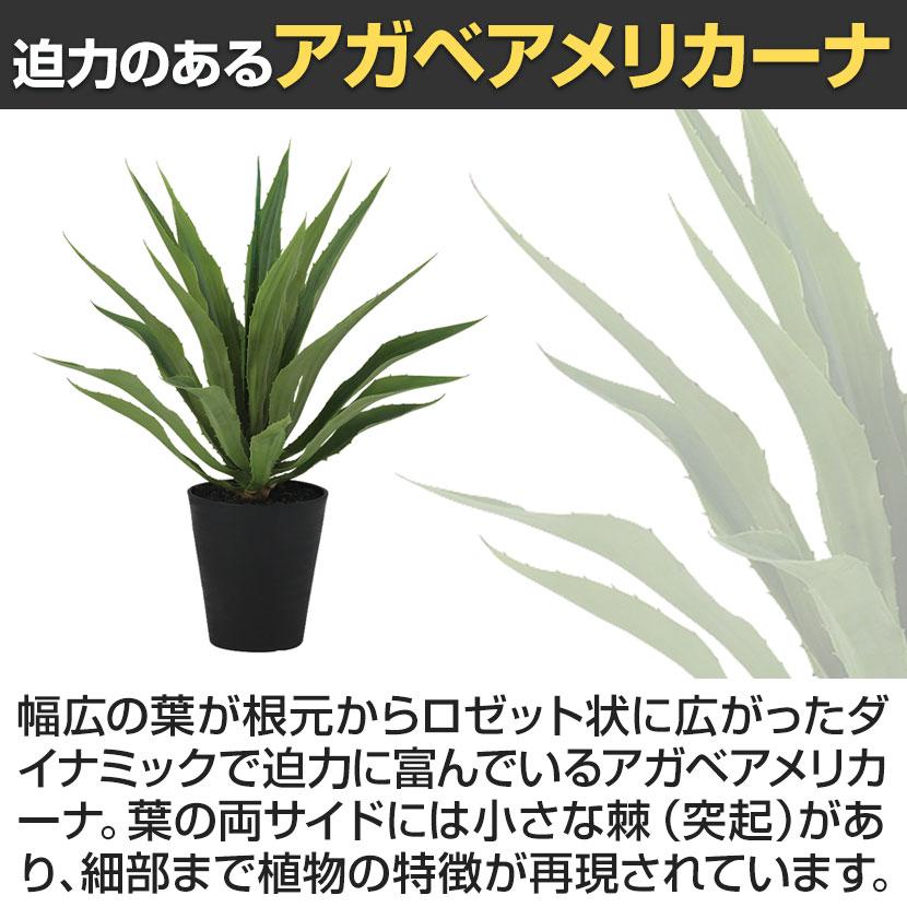 観葉植物 人工樹木 フェイクグリーン 造花 アガベ・アメリカーナ 高さ800mm 鉢:SA-8(BK) |  | 03