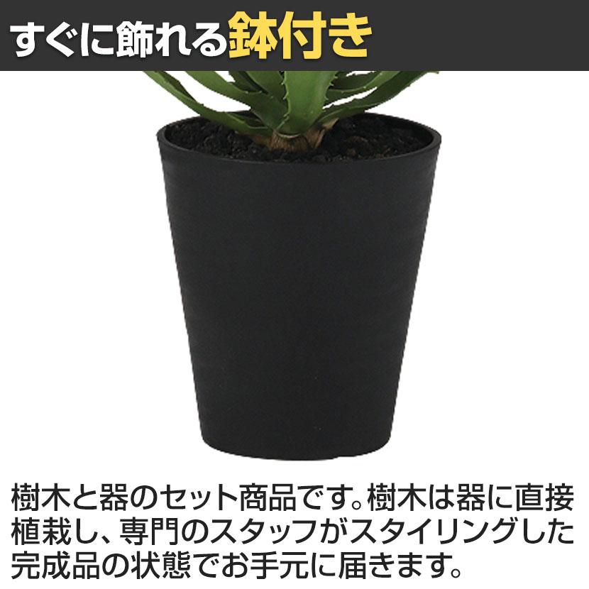 観葉植物 人工樹木 フェイクグリーン 造花 アガベ・アメリカーナ 高さ800mm 鉢:SA-8(BK) |  | 04