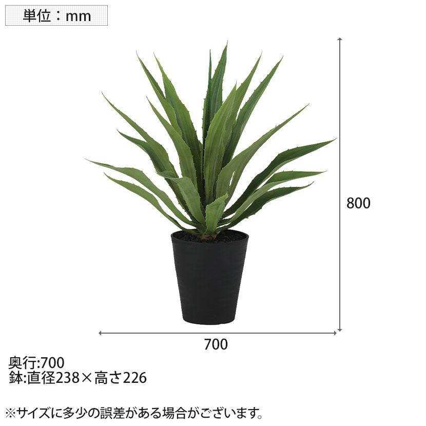 観葉植物 人工樹木 フェイクグリーン 造花 アガベ・アメリカーナ 高さ800mm 鉢:SA-8(BK) |  | 06