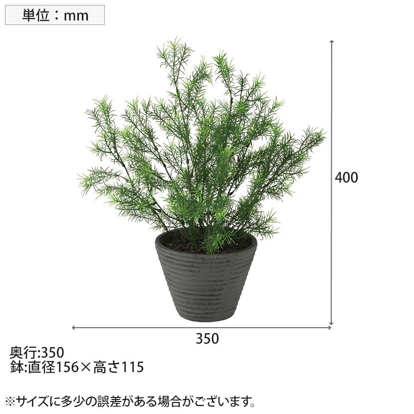観葉植物 人工樹木 フェイクグリーン 造花 スプレンゲリー 高さ400mm 鉢:PラウンドS(BK) 卓上 |  | 05