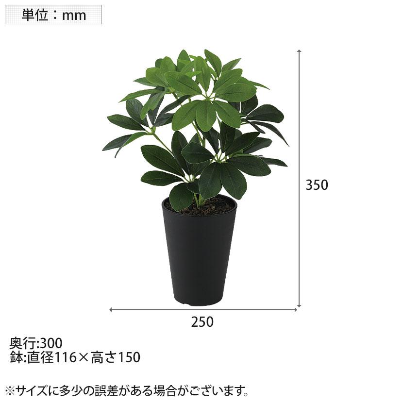 フェイクグリーン シェフレラ カポック 160cm 観葉植物 人工樹木 