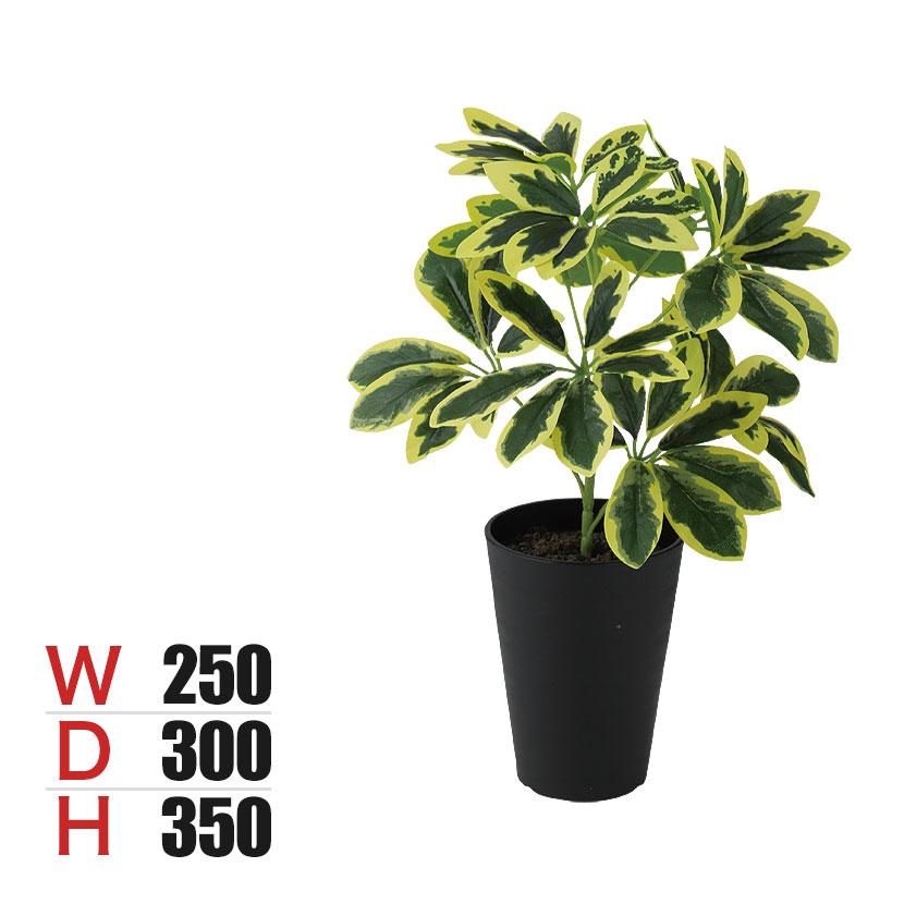 観葉植物 人工樹木 フェイクグリーン 造花 イエローカポック Sサイズ 高さ350mm 鉢:SA-4(BK) 卓上 | 