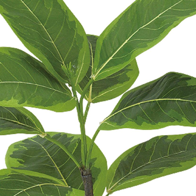 観葉植物 人工樹木 フェイクグリーン 造花 アルテシマ ルーツポット 高さ550mm 鉢:SA-4(BK) 卓上 |  | 01