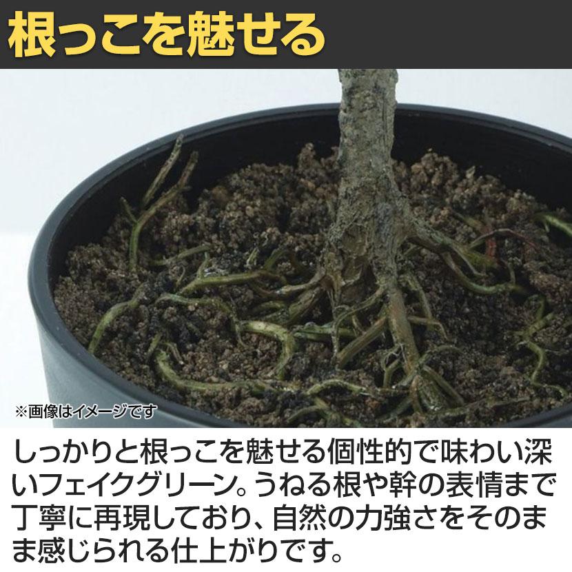 観葉植物 人工樹木 フェイクグリーン 造花 アルテシマ ルーツポット 高さ550mm 鉢:SA-4(BK) 卓上 |  | 03