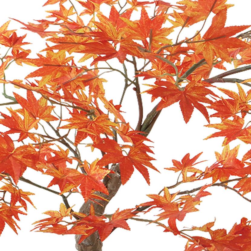 観葉植物 人工樹木 フェイクグリーン 造花 ヤマモミジ ボウル RED 高さ450mm 鉢:BB-25 (DG) 卓上 |  | 01