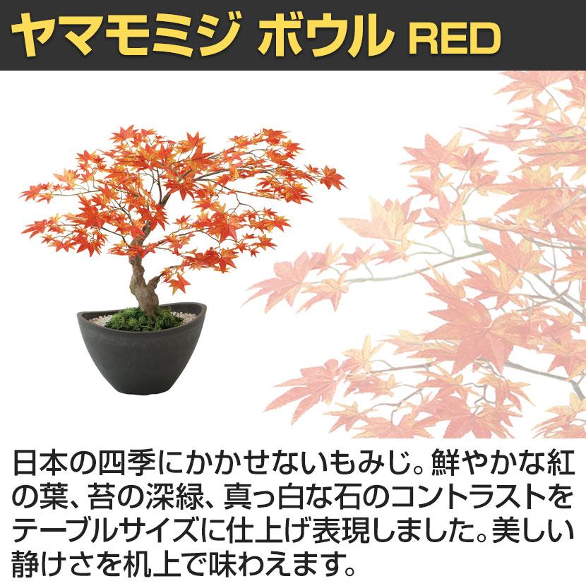 観葉植物 人工樹木 フェイクグリーン 造花 ヤマモミジ ボウル RED 高さ450mm 鉢:BB-25 (DG) 卓上 |  | 02