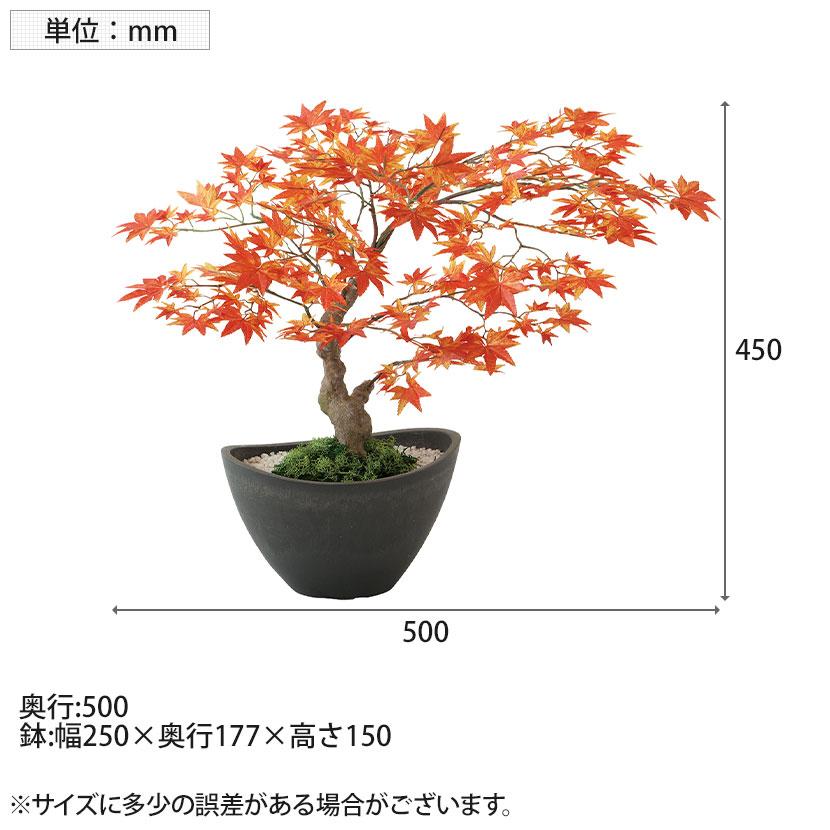 観葉植物 人工樹木 フェイクグリーン 造花 ヤマモミジ ボウル RED 高さ450mm 鉢:BB-25 (DG) 卓上 |  | 05