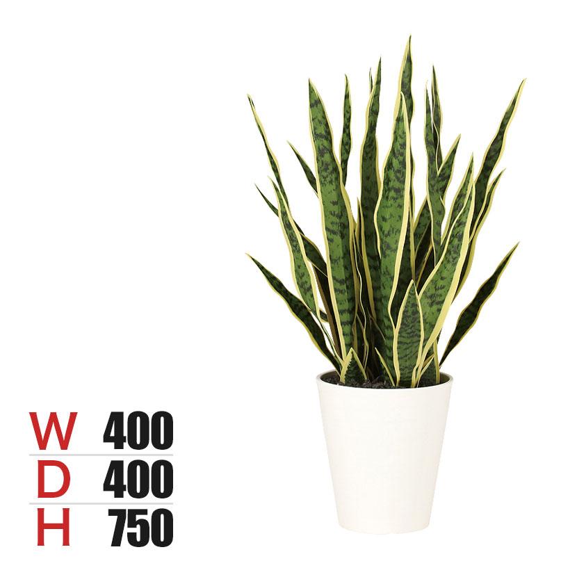 観葉植物 人工樹木 フェイクグリーン 造花 サンスベリア 高さ750mm 鉢:SA-7(WH) | 