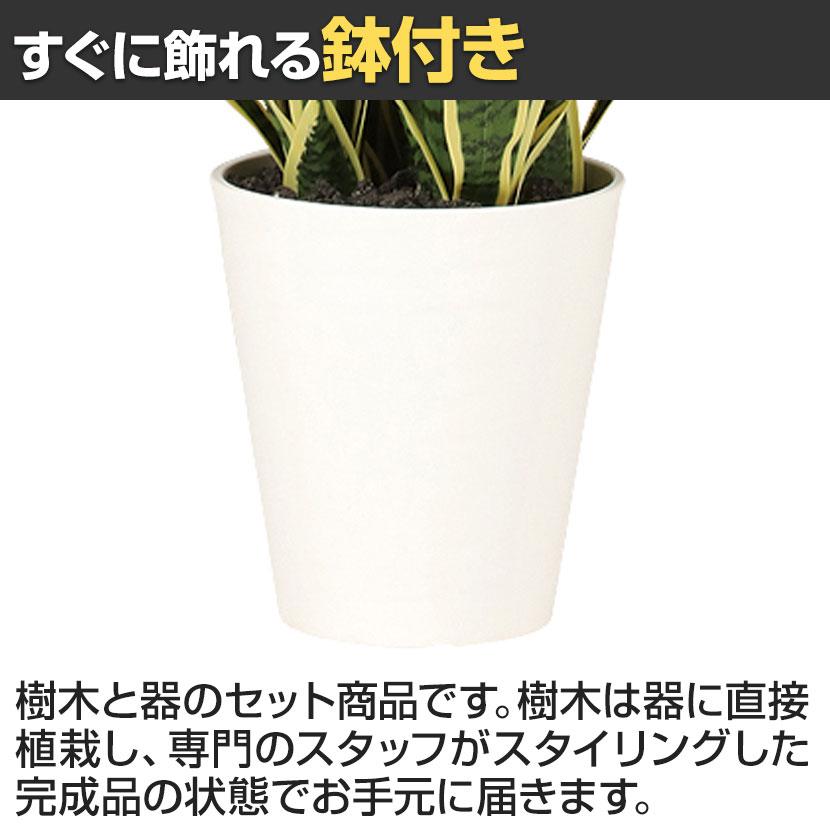 観葉植物 人工樹木 フェイクグリーン 造花 サンスベリア 高さ750mm 鉢:SA-7(WH) |  | 03