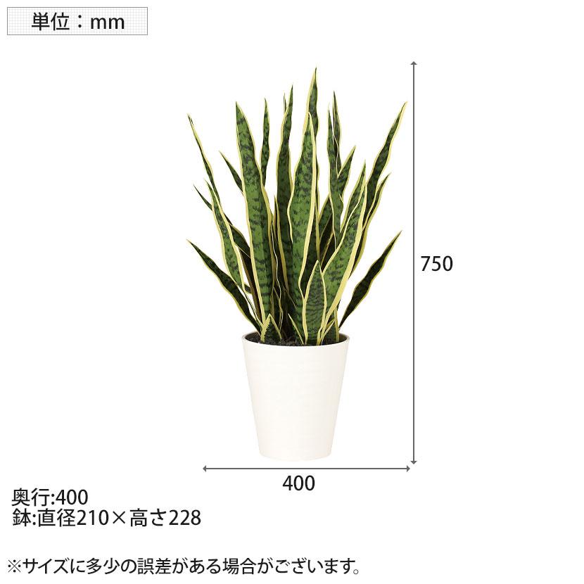 観葉植物 人工樹木 フェイクグリーン 造花 サンスベリア 高さ750mm 鉢:SA-7(WH) |  | 05