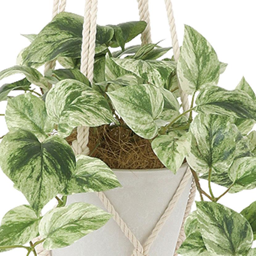 観葉植物 人工樹木 フェイクグリーン 造花 マーブルポトス 鉢:HP-15(WH) ハンギング植栽 ハンギングポット 吊り下げポット 高さ850mm |  | 02