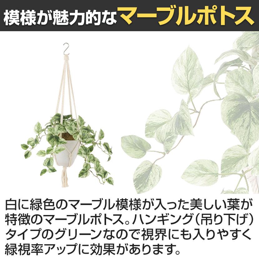 観葉植物 人工樹木 フェイクグリーン 造花 マーブルポトス 鉢:HP-15(WH) ハンギング植栽 ハンギングポット 吊り下げポット 高さ850mm |  | 03