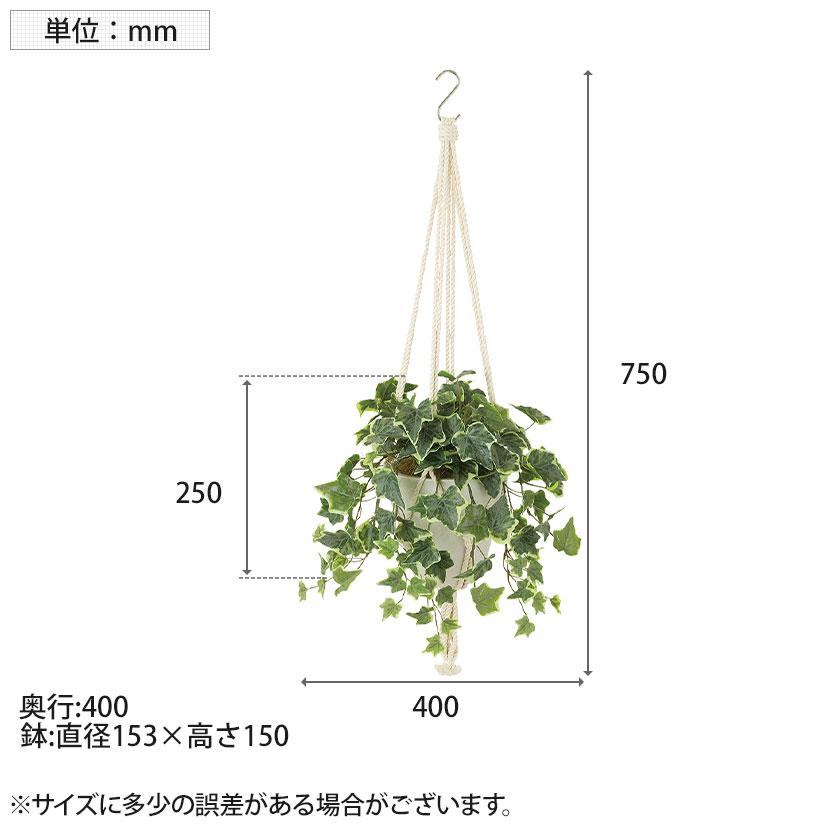 観葉植物 人工樹木 フェイクグリーン 造花 グレイシアアイビー 鉢:HP-15(WH) ハンギング植栽 ハンギングポット 吊り下げポット 高さ750mm |  | 05