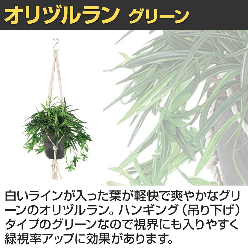 観葉植物 人工樹木 フェイクグリーン 造花 オリヅルラン G 鉢:HP-15 (DG) ハンギング植栽 ハンギングポット 吊り下げポット 高さ750mm |  | 03