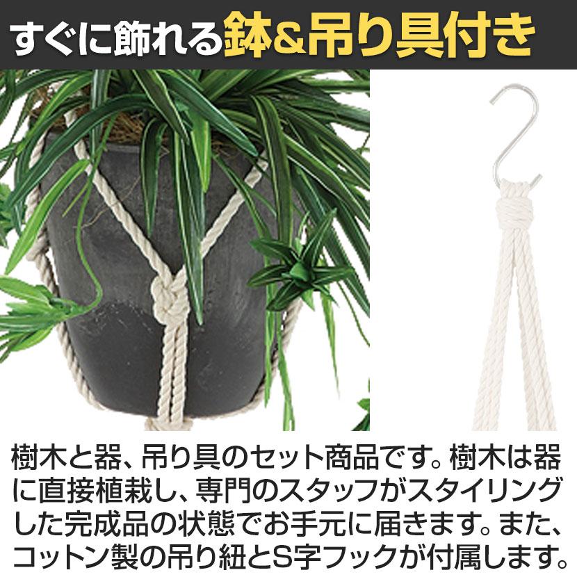 観葉植物 人工樹木 フェイクグリーン 造花 オリヅルラン G 鉢:HP-15