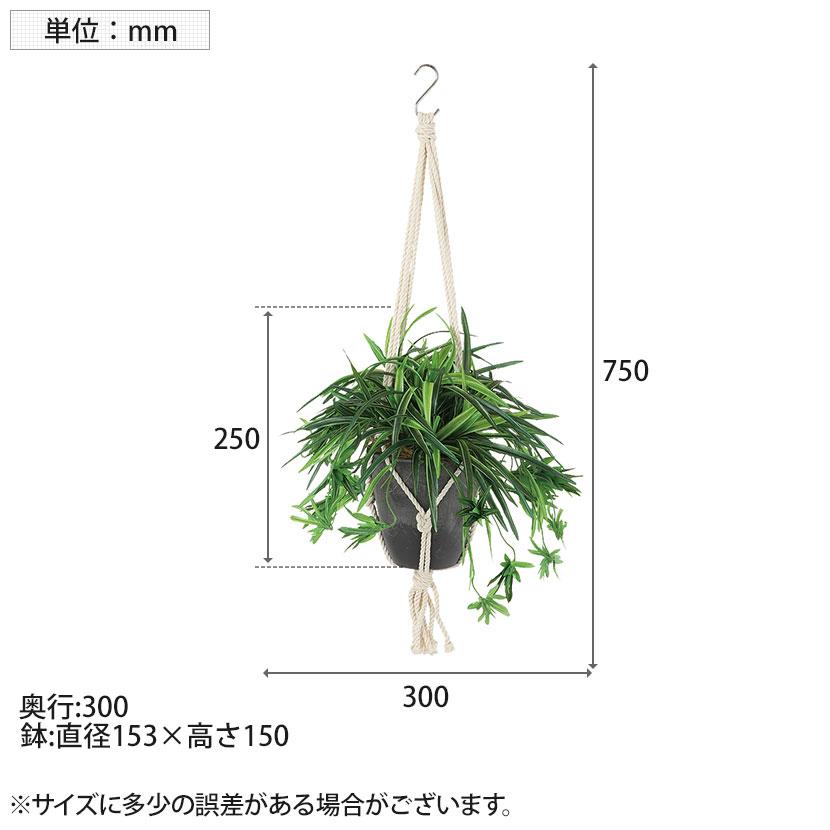 観葉植物 人工樹木 フェイクグリーン 造花 オリヅルラン G 鉢:HP-15