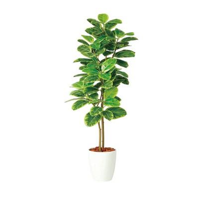 観葉植物 フェイクグリーン 人工 樹木 アルテシマ 高さ1500mm Mサイズ 鉢:RP-265