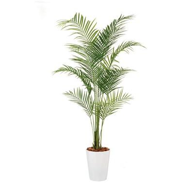 観葉植物 フェイクグリーン 人工 樹木 アレカヤシPE 高さ2000mm LLサイズ 鉢:クオーツ300