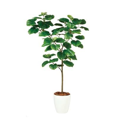 オフィス家具通販のオフィスコム 樹木 Mサイズ 鉢 Rp 265 通販 人工観葉 フェイクグリーン 高さ1500mm 花 ガーデニング Fst 人工 新着商品 人工 観葉植物 ウンベラータ Mサイズ Www Helphum Com