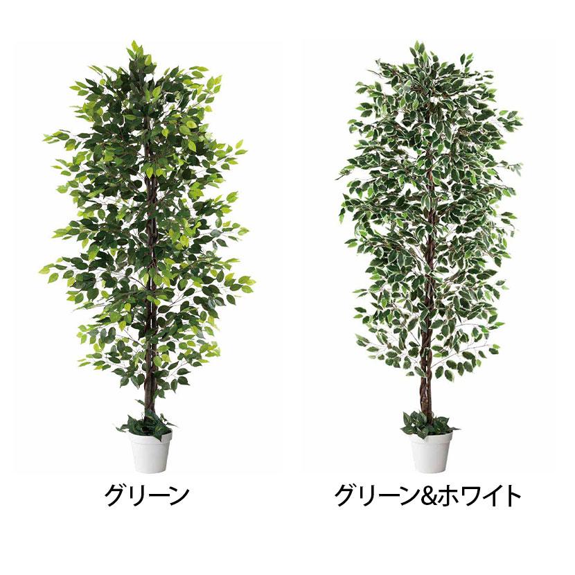 観葉植物 人工樹木 フェイクグリーン インテリアグリーン 造花 ベンジャミン 高さ2100mm
