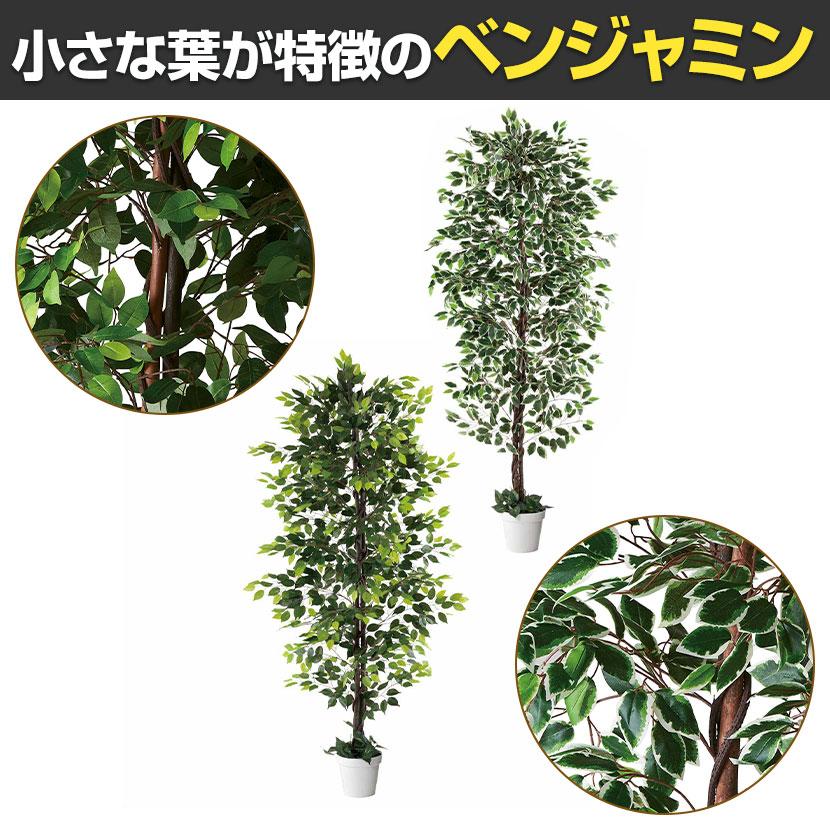 観葉植物 人工樹木 フェイクグリーン インテリアグリーン 造花 ベンジャミン 高さ2100mm