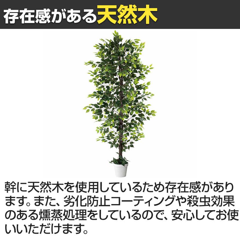 観葉植物 人工樹木 フェイクグリーン インテリアグリーン 造花 ベンジャミン 高さ2100mm