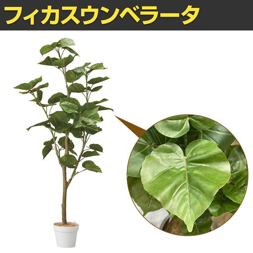 観葉植物 人工樹木 フェイクグリーン インテリアグリーン 造花 フィカスウンベラータ 高さ1550mm_2