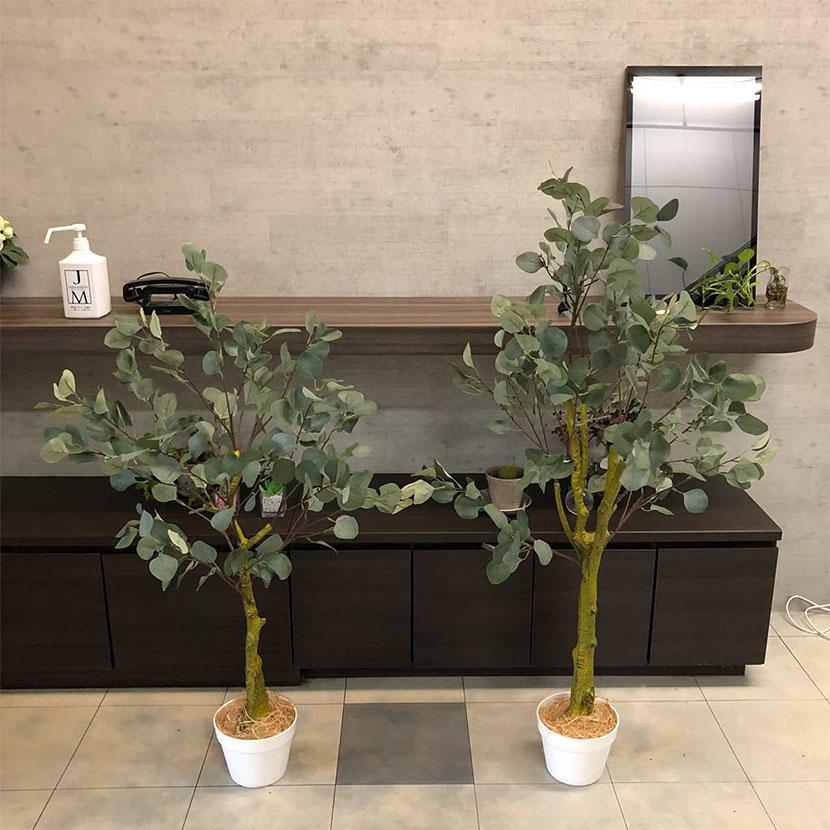 観葉植物 人工樹木 フェイクグリーン インテリアグリーン 造花 ユーカリ 高さ1350mm_1