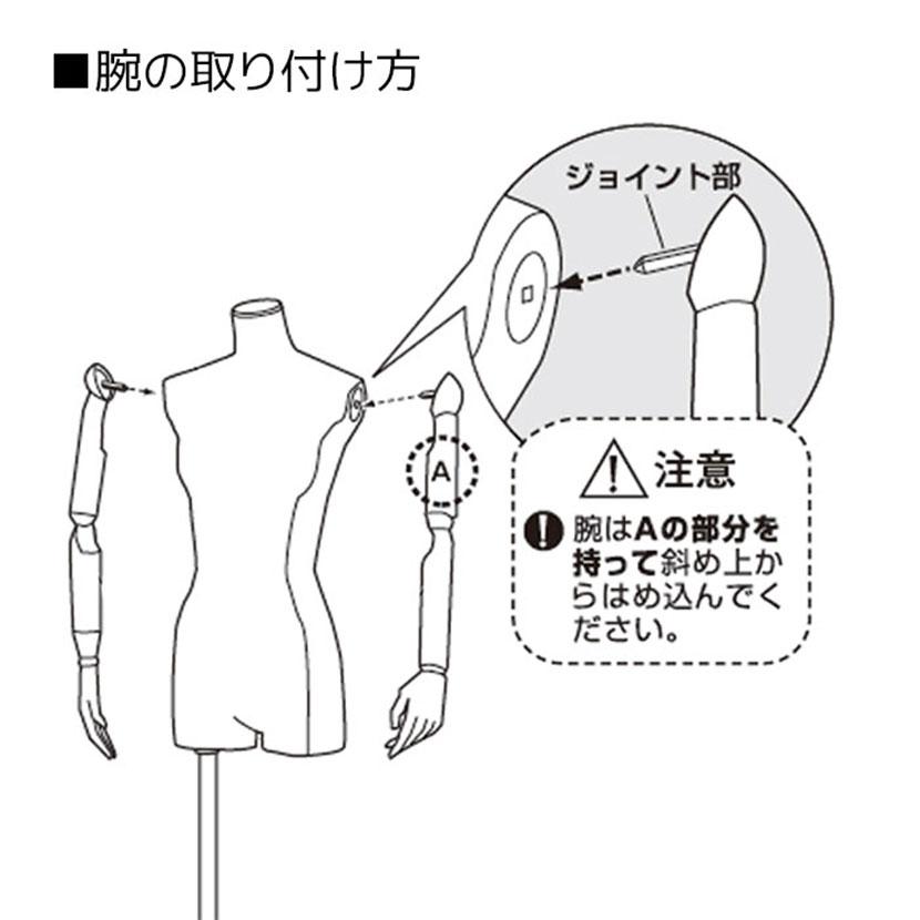 婦人腕付きトルソー 芯地張ボディ 9号 女性 レディース 業務用 店頭用