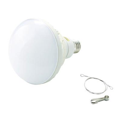 TRUSCO LED投光器用 50W LED球 RTL50W | TRUSCO中山