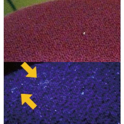 KONTEC コンテック 1灯ラバー調ペン型ブラックライト | TRUSCO中山 | 04