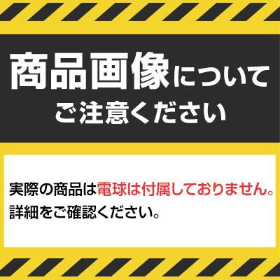 ハタヤ 補助コードハンドランプ 100W用(電球なし) 接地付ききコンセント付き CM0G | TRUSCO中山 | 01