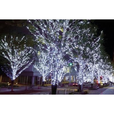 オプション トライト LEDイルミネーション用 整流器 黒 IN005 | TRUSCO中山 | 01