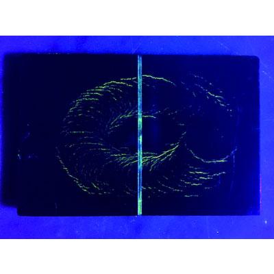 saga 嵯峨 8W LED紫外線ライト SLLED8WFLUV | TRUSCO中山 | 02