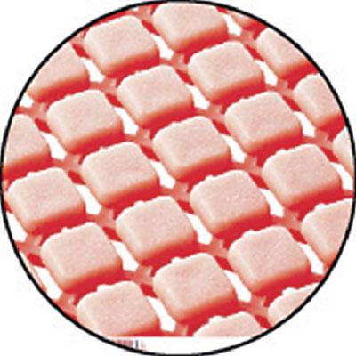 コンドル 素足スノコ シャワールーム・プールサイド用 本駒 幅300×長さ300×厚さ14.5mm | TRUSCO中山 | 02