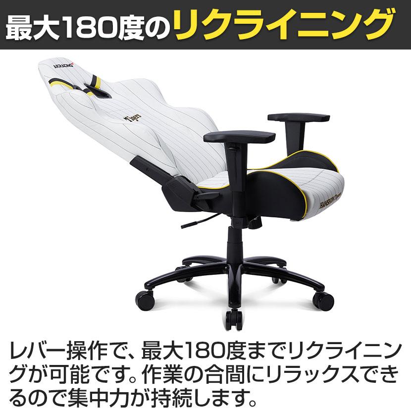 AKRacing（エーケーレーシング） AKレーシング Pro-X V2 Hanshin