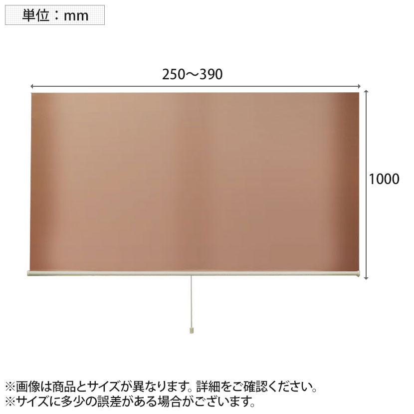 バリュテック・インターナショナル スリムロールスクリーン サイズオーダー 幅選択可能 幅250〜390mm 木ネジ取り付けタイプ 遮光 静音 防炎 消臭 高さ1000mm |  | 04