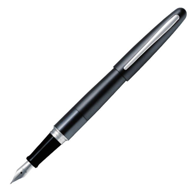 d*9様 PILOT Cocoon 万年筆など 3本セット　株主優待品 コクーン（パイロット） PILOT 万年筆 コクーン メタリックグレー 細字