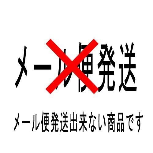 ペンサンブル PILOT Pensemble ファスナー付き ロールタイプペンケース