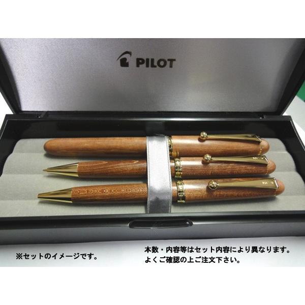 PILOTカスタムカエデ 万年筆・油性ボールペン計2本のセット 卒業・入学