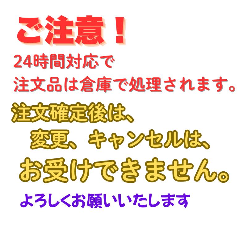 ツーリングネット オートバイ バイク 収納 ヘルメット 伸縮性 ネット 燃料タンク 固定 荷物 | ブランド登録なし | 09