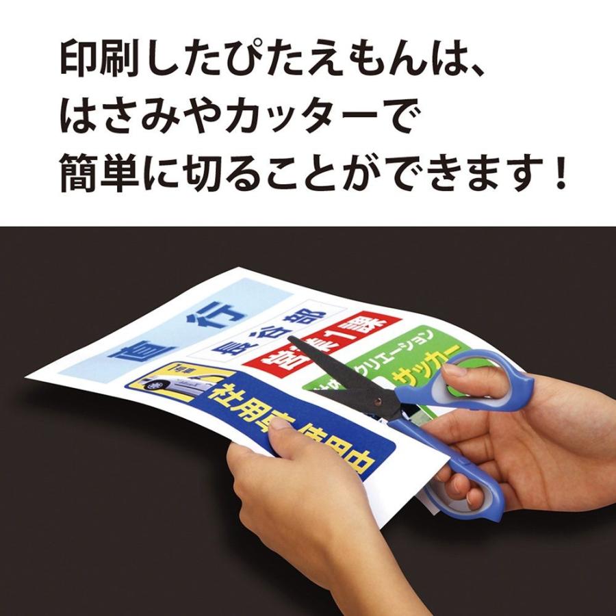 マグエックス マグネット 用紙 ぴたえもん マット A4 5枚入 MSP-02-A4