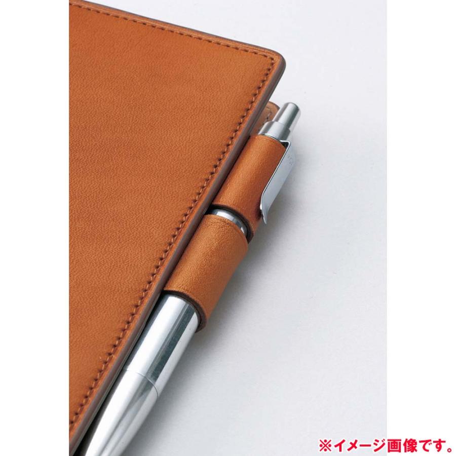 現役引退！渡辺直人選手 直筆サイン色紙 ルーキー時代 東北楽天 東北