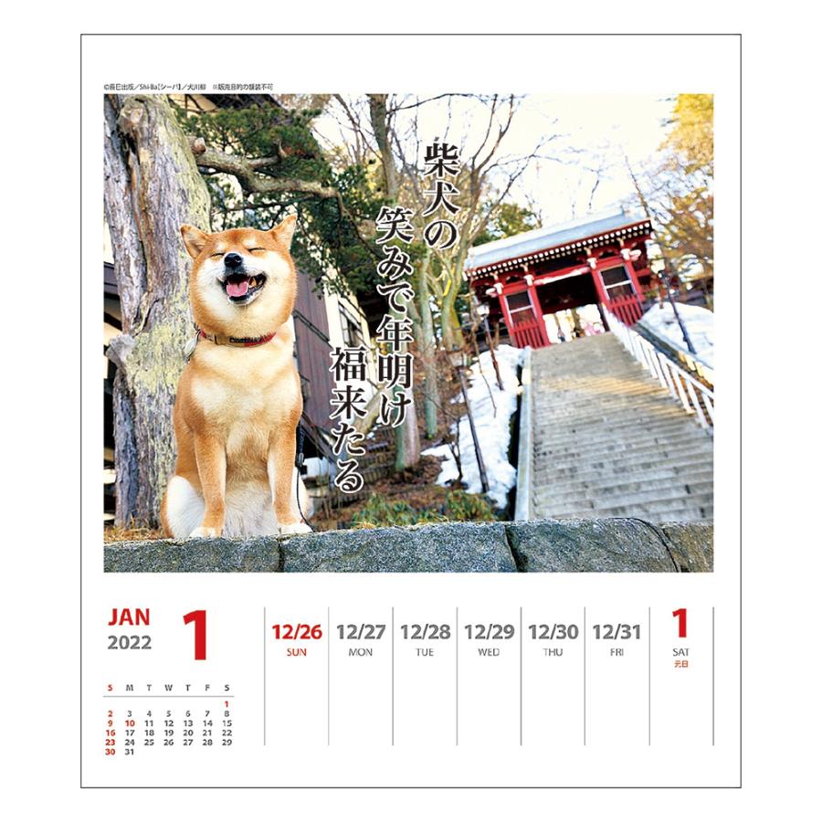 アートプリントジャパン Apj 22年 カレンダー 犬川柳 週めくり オフィスランドpaypayモール店 通販 Paypayモール