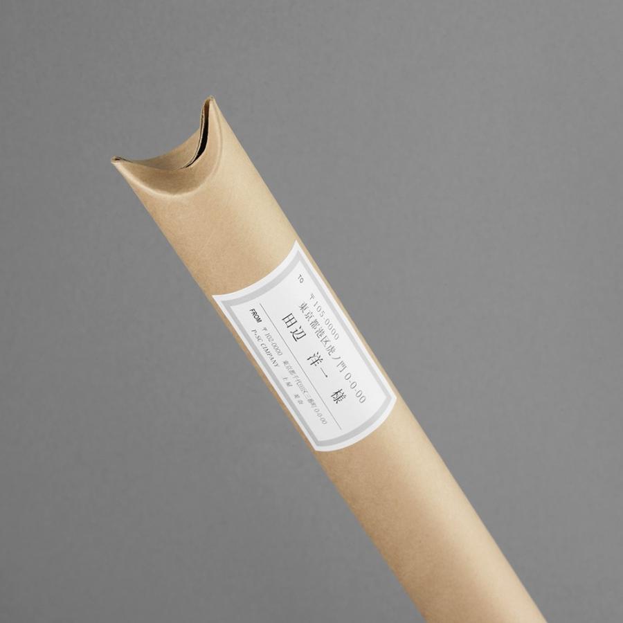 プラス(PLUS) ラベル いつものラベル 収納・案内用ラベル A4 500枚入 2×5片付10面 ME-561S48-912_3