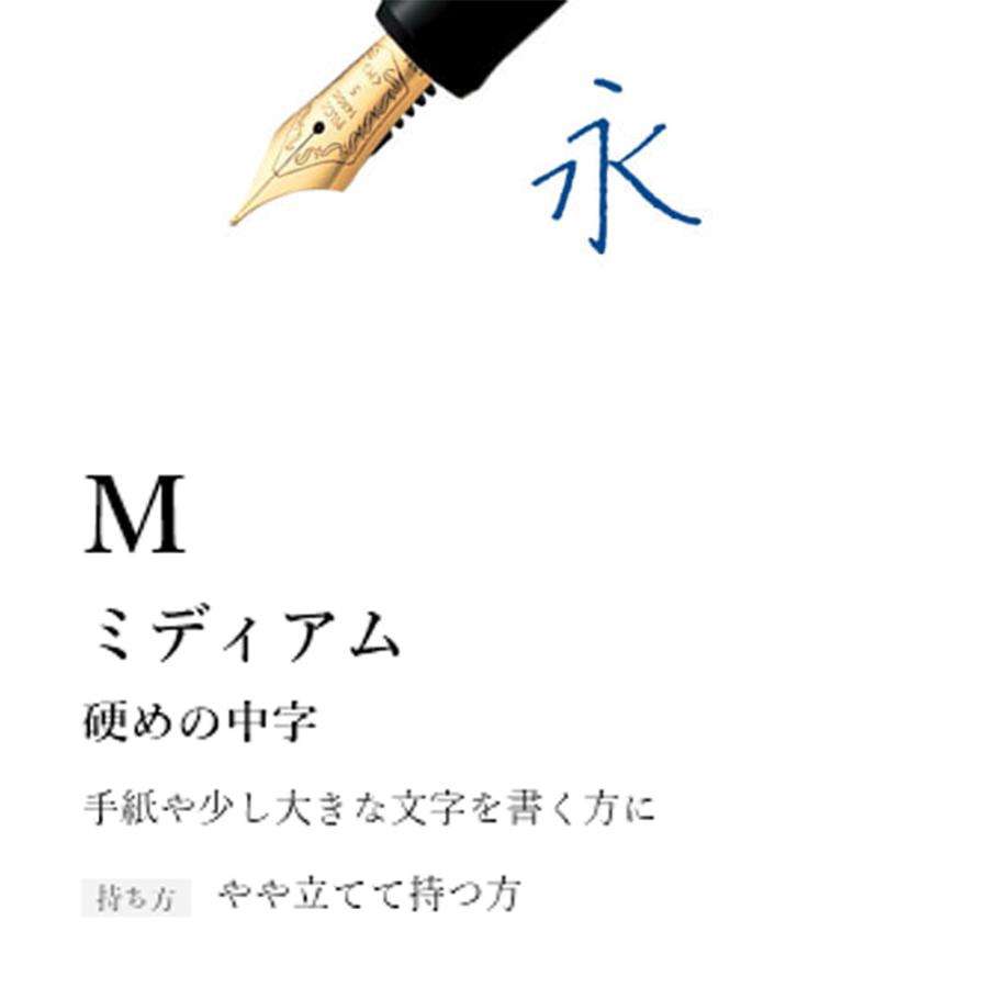 PILOT（パイロット） 万年筆 カスタム 槐 モクメ 中字 FKV-5MK