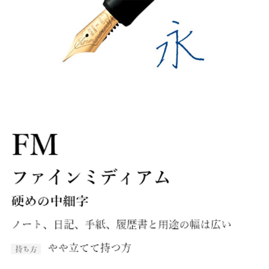 PILOT（パイロット） 万年筆 カスタム 743 ブラック 中細字 ギフト