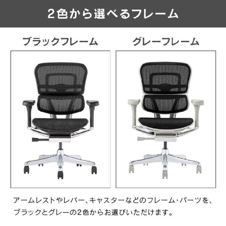 関家具 エルゴヒューマン プロ2 ロータイプ グレーフレーム EHP2