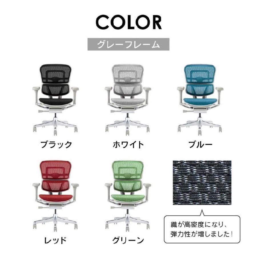 関家具 エルゴヒューマン プロ2 ロータイプ グレーフレーム EHP2-LAM