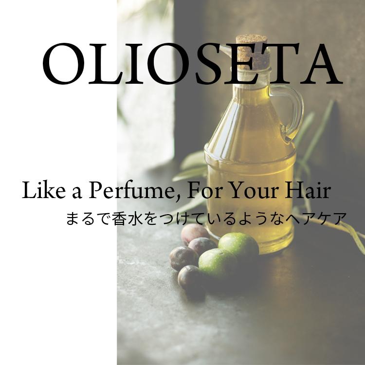 OLIOSETA（オリオセタ） ☆送料無料☆ エヌリーク シャンプー 1000ml